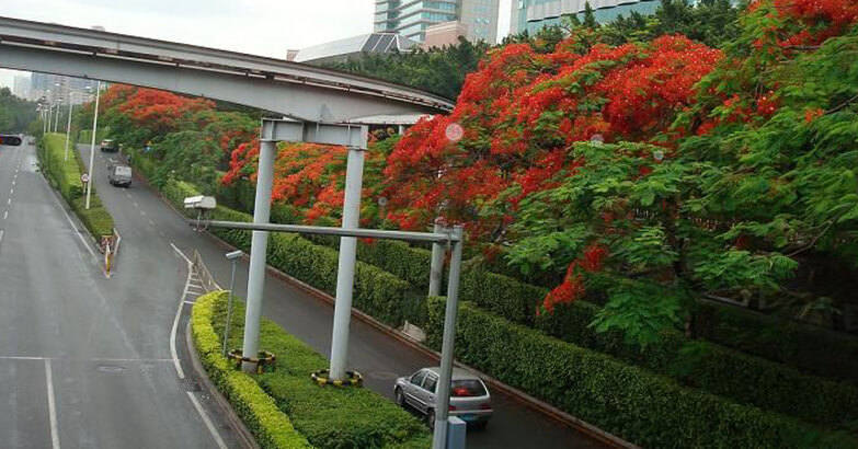 深圳市茂华园林建筑有限公司